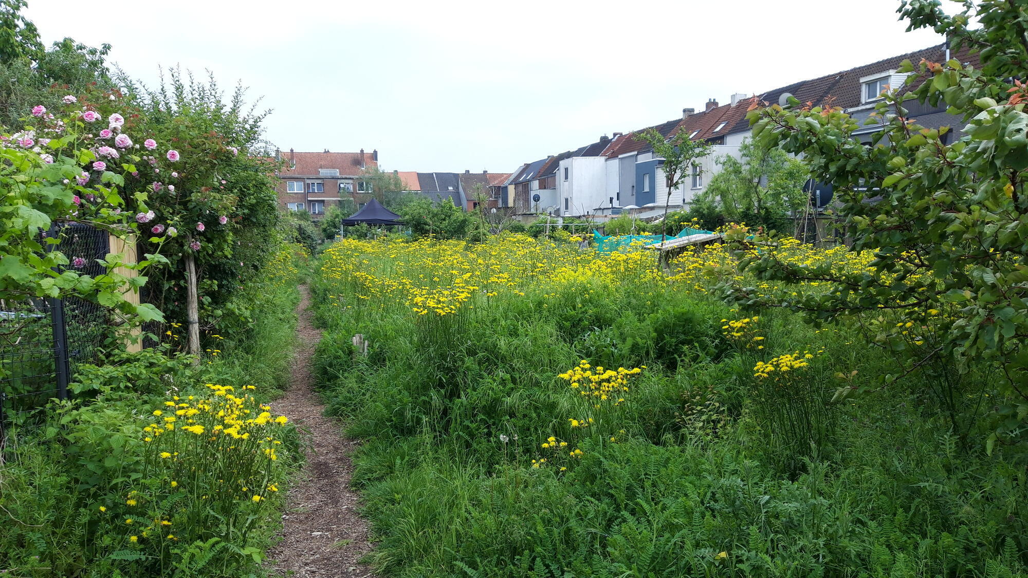 Boerenhof (Geert Sioen)